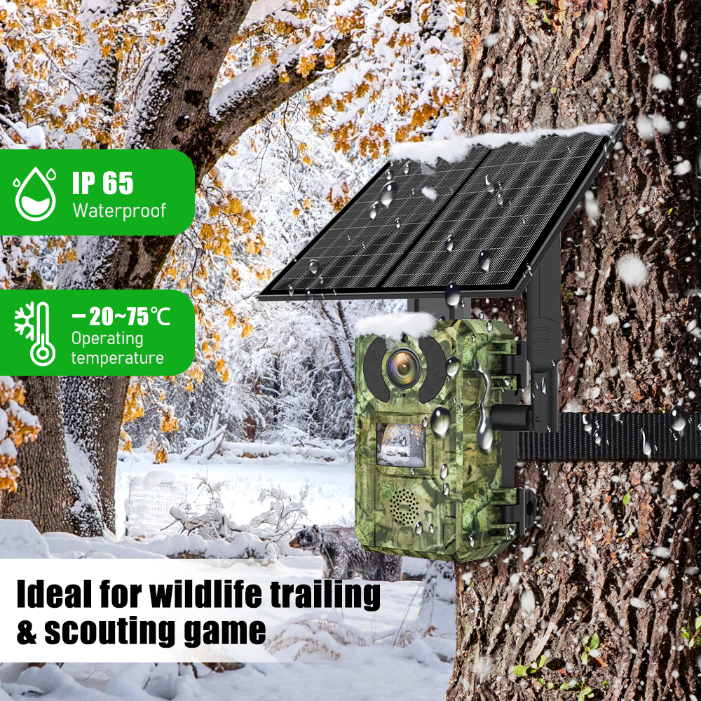 EU Band 4G Cellular LTE Live V - Trail Camera Infrared ulasan dan harga