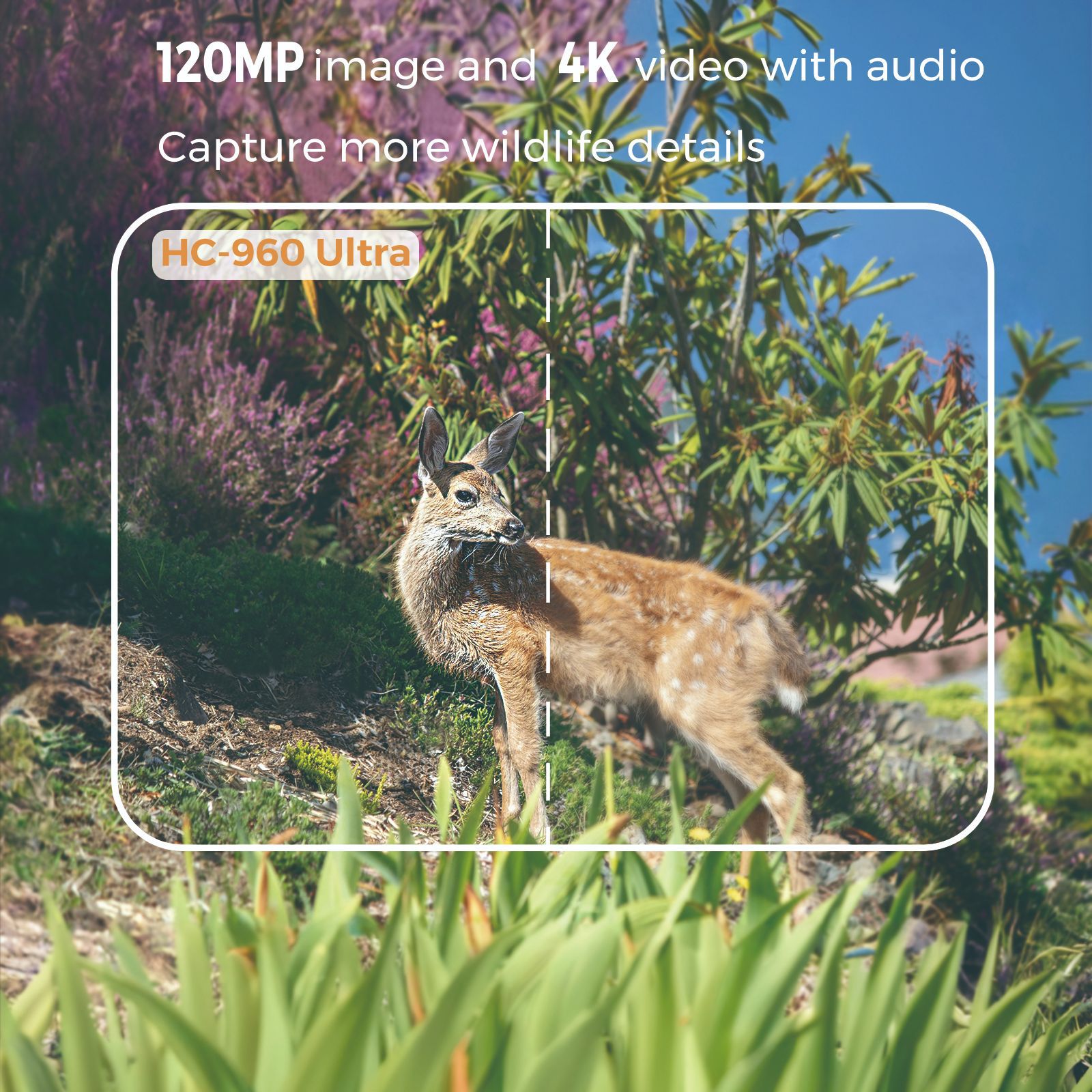 4G outdoor wildlife infrared c - Trail Camera Infrared ulasan dan harga